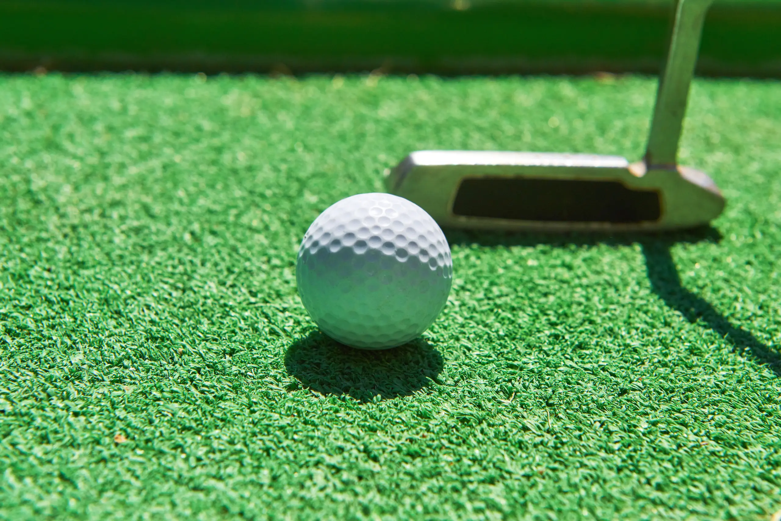 stepgolf-img_7